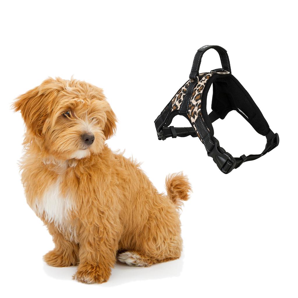 Pet Dog Saddle Vest Harness Chest Strap Padded Walking Harness