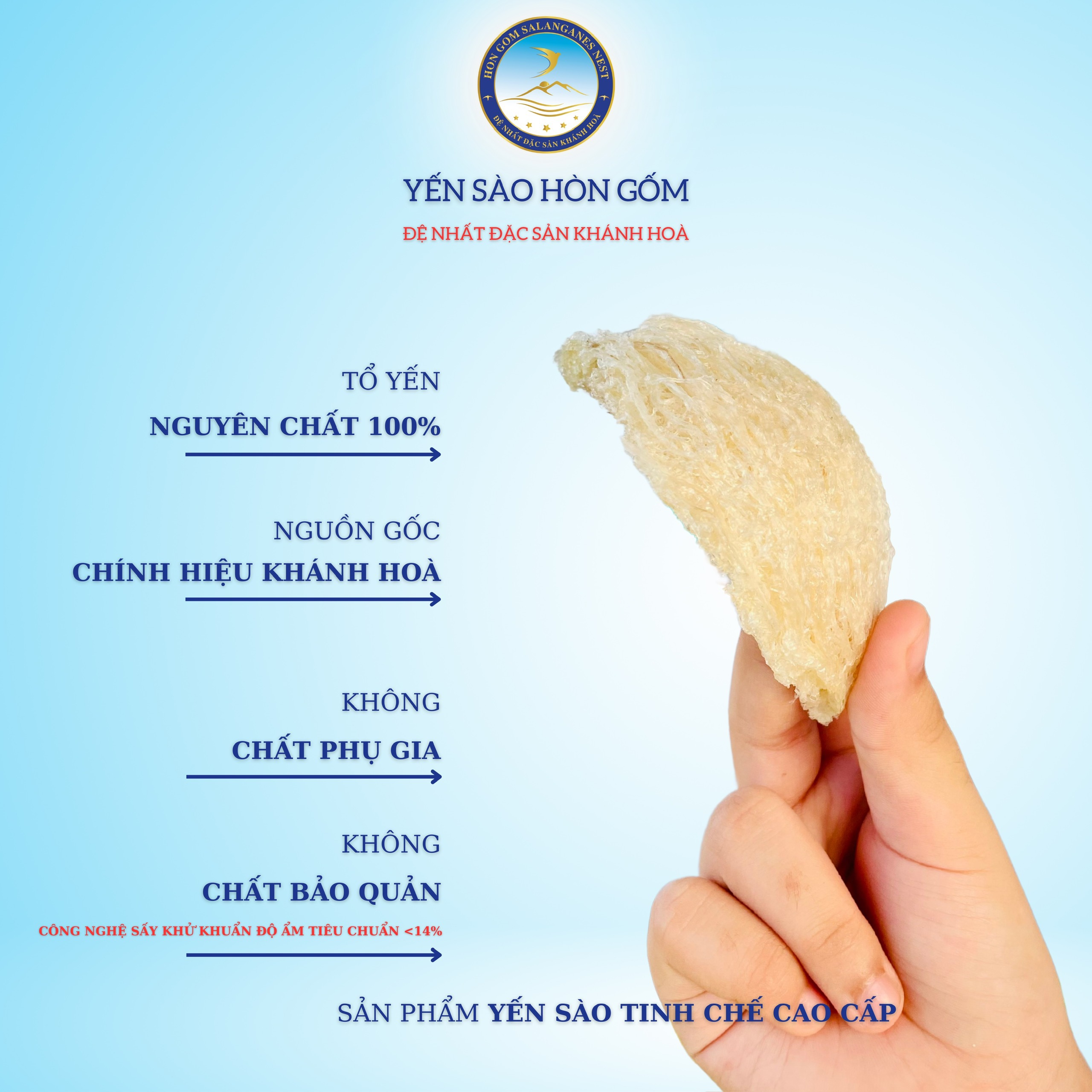 Yến Sào Tinh Chế Cao Cấp V2 - Yến Sào Hòn Gốm Chính Hiệu Khánh Hoà - HG SANLANGANES NEST