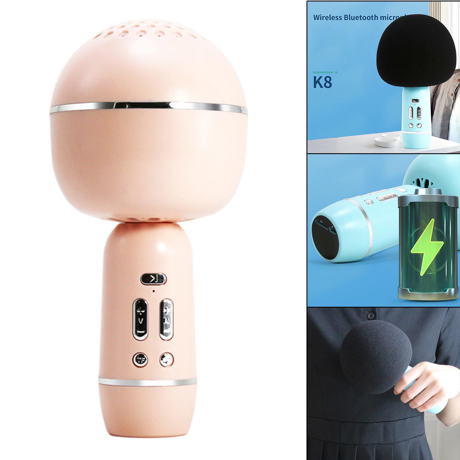 Portable Wireless Microphone Karaoke Speaker Karaoke Machine