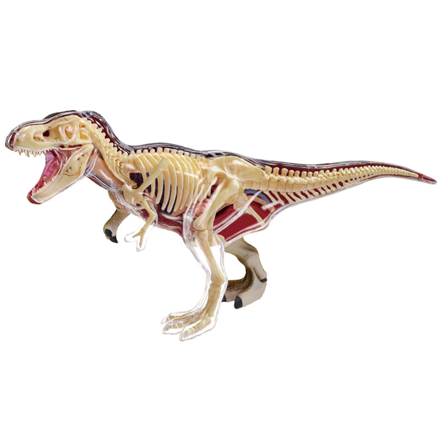 Đồ Chơi Mô Hình Giải Phẫu 4D - Khủng Long T-Rex 4D Master 622013