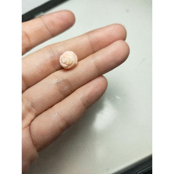 410- L Cham San Hô Không Nhuộm