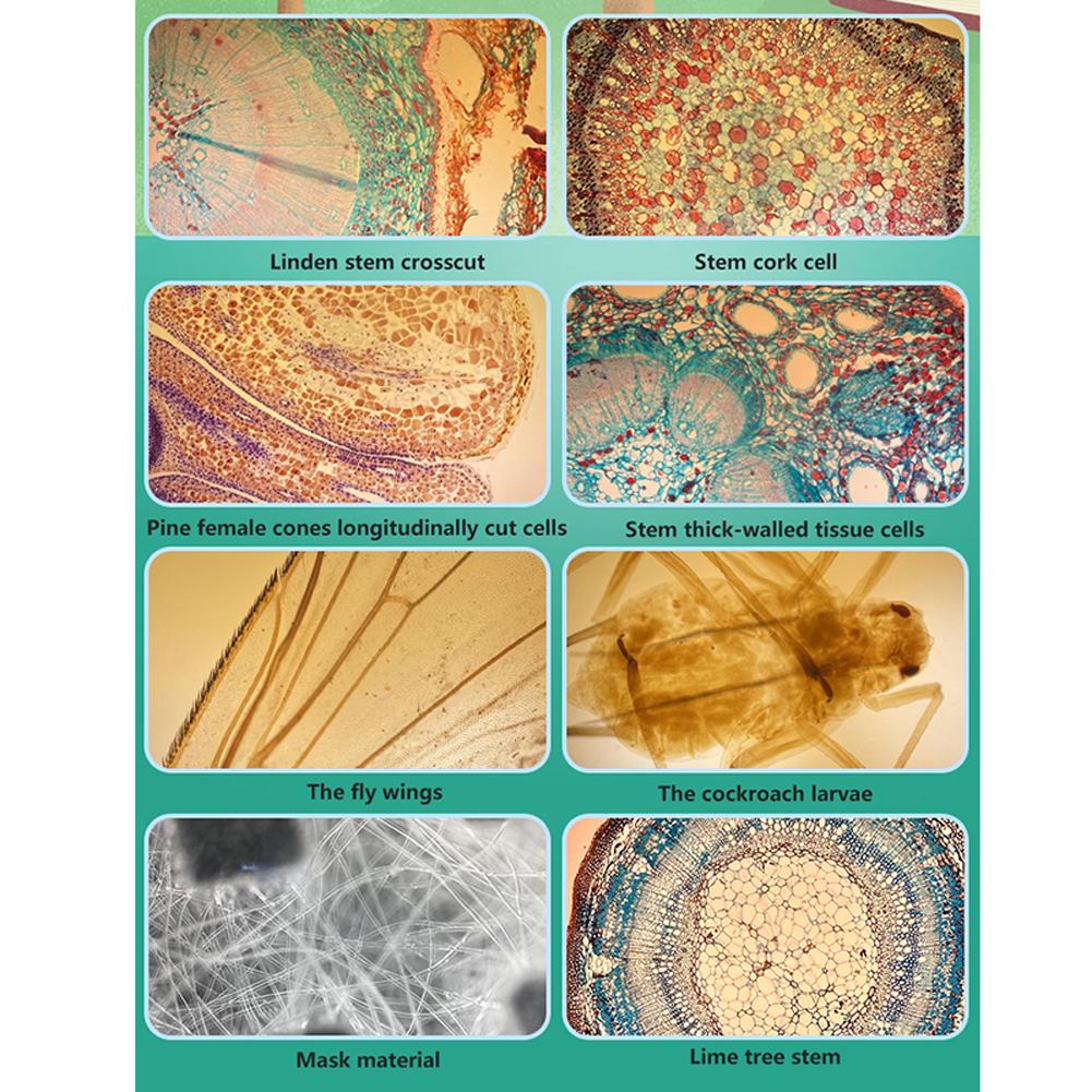400X Microscope for Phone Lens Monocular Mobile Phone Camera Lens High Magnification External Universal Microscope Lens