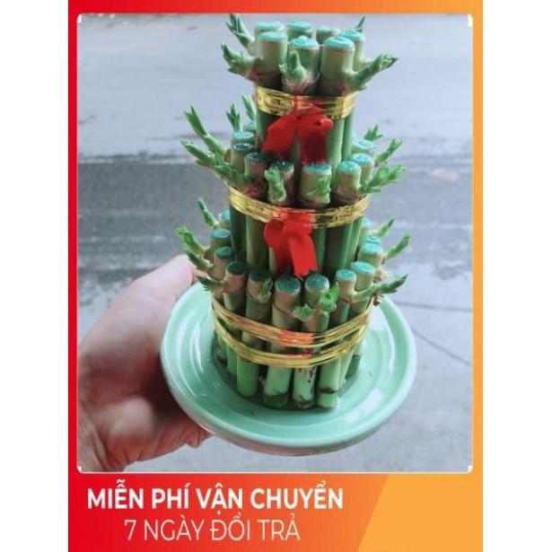 Trúc Phát Tài 3 Tầng