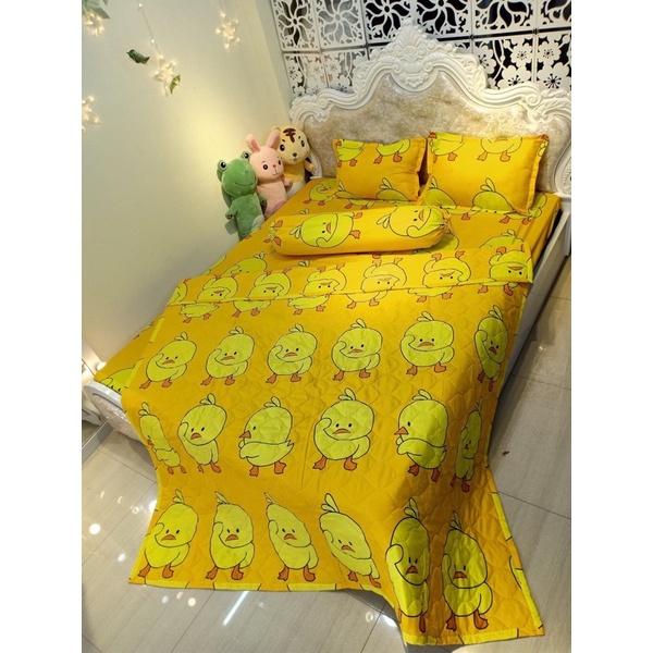 Trọn Bộ 5 Món Chăn Hè Trần Bông Và Ga Gối Poly Cotton Nhiều Mẫu Mới