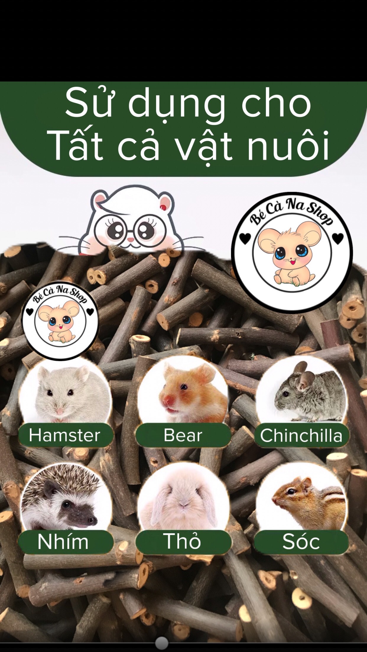 Cành táo mài răng nguyên chất bé cà na
