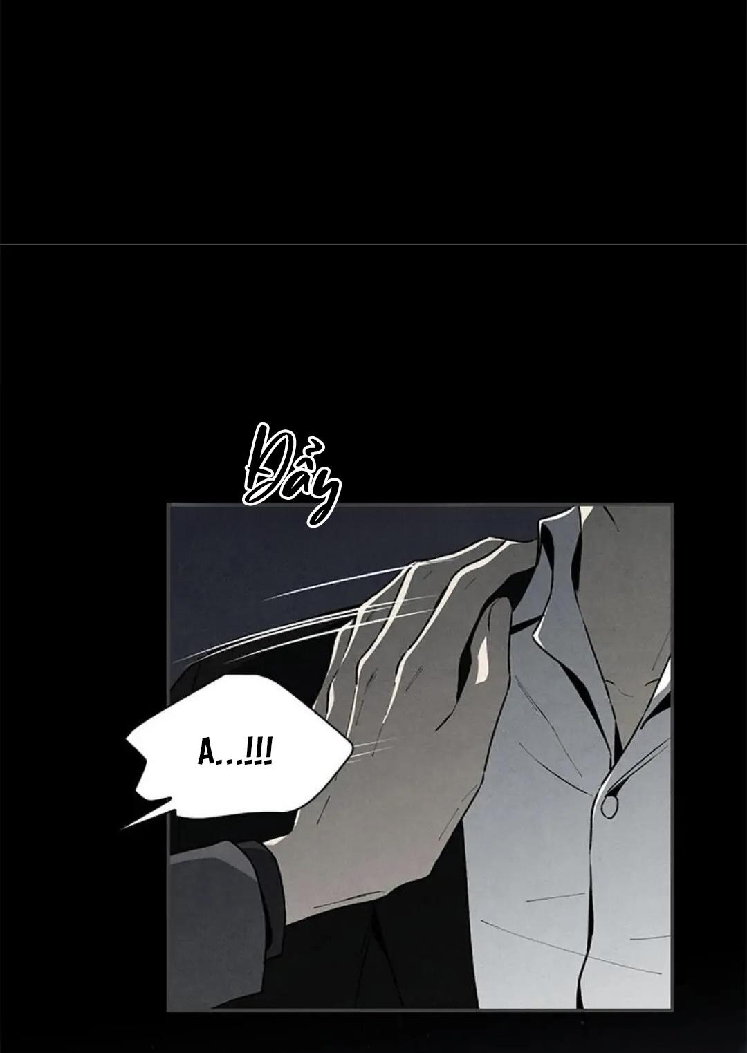 bona sort chapter 36 46