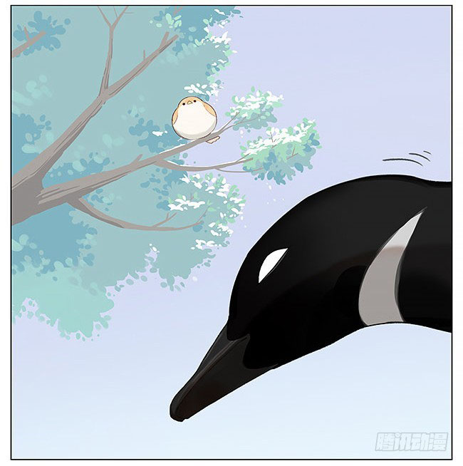 sẻ chiếu mới và nhạn phong sương chapter 6 5