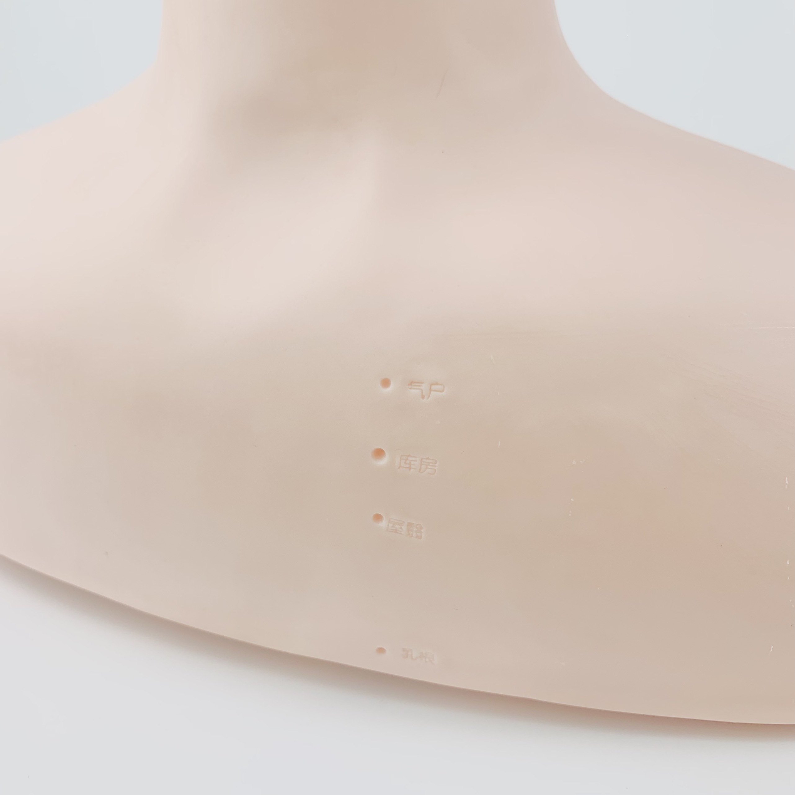 Đầu Manocanh Có Vai Dùng Để Học Massage