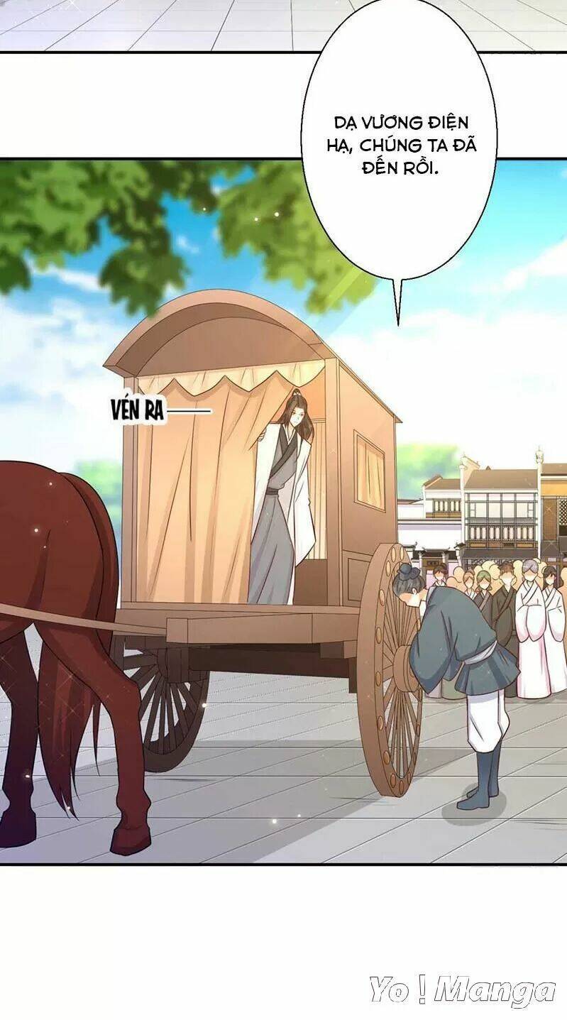 độc y cuồng phi chapter 77 11