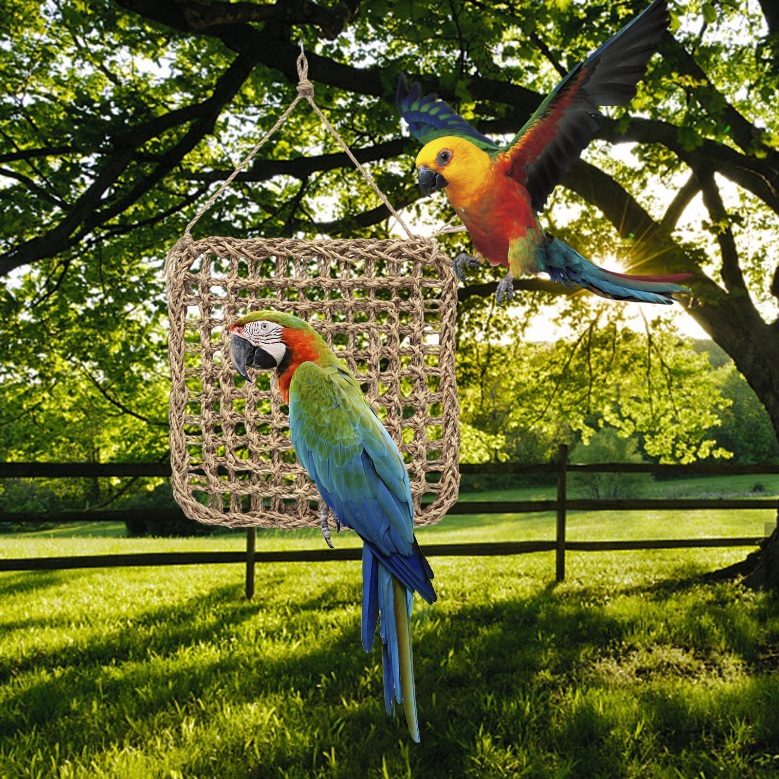 2X Climbing Ladder Hammock Climbing Net for Bird Cage Canaries