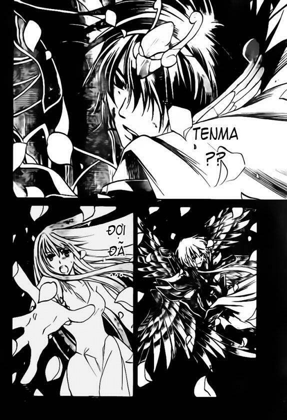 áo giáp vàng: thánh đấu sĩ thiên mã chapter 12 5