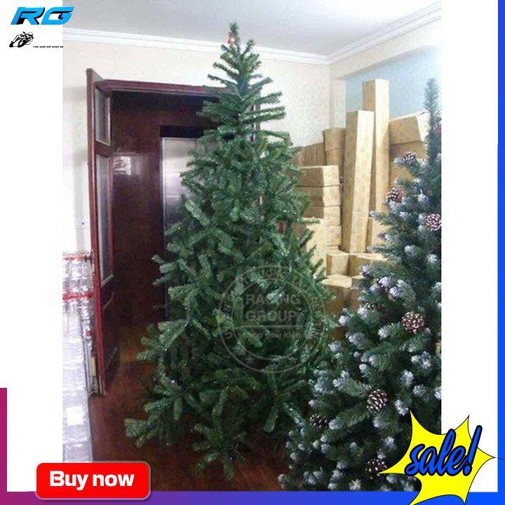 Cây Thông Noel Đầu Tròn 10' Cao 3M Chân Sắt + Tặng 1 Ngôi Sao Đỉnh Và 8 Dây Kim Tuyến