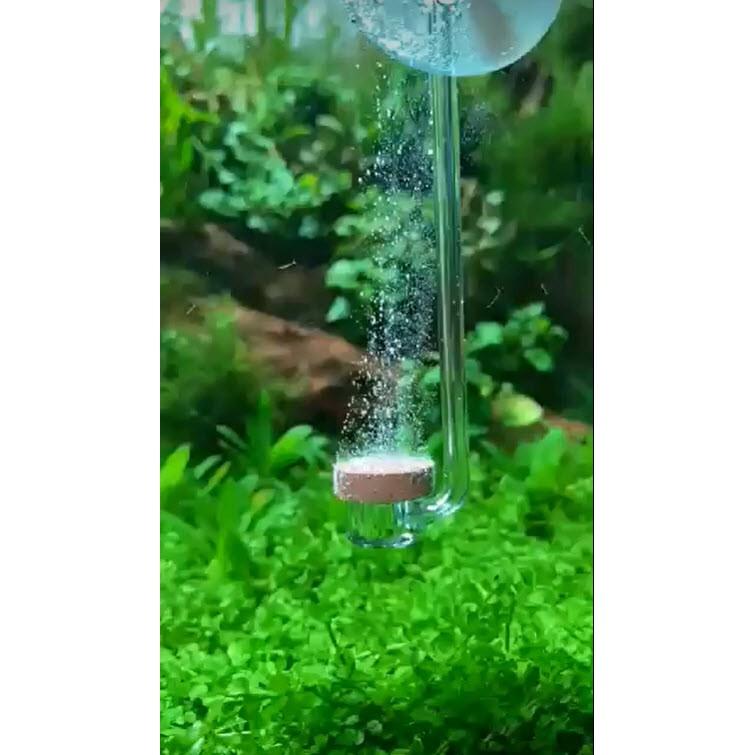 Cốc Sủi CO2 Siêu Mịn AQUARIO NEO CO2 DIFFUSER - Normal Special