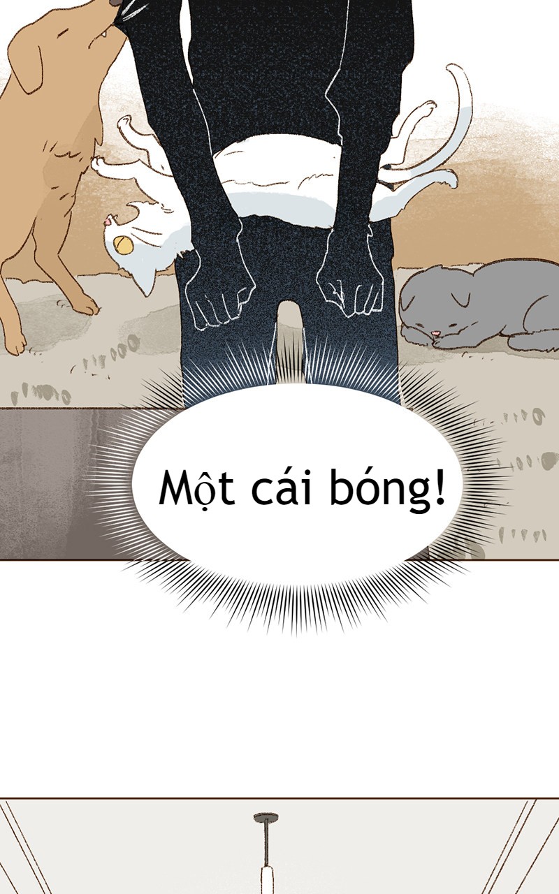 câu chuyện tình yêu kỳ lạ chapter 18 8