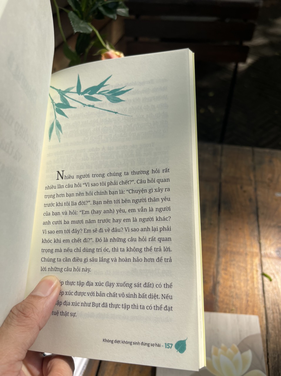 KHÔNG SINH KHÔNG DIỆT ĐỪNG SỢ HÃI – Thích Nhất Hạnh – Chân Huyền dịch -Saigon Books -NXB Thế Giới