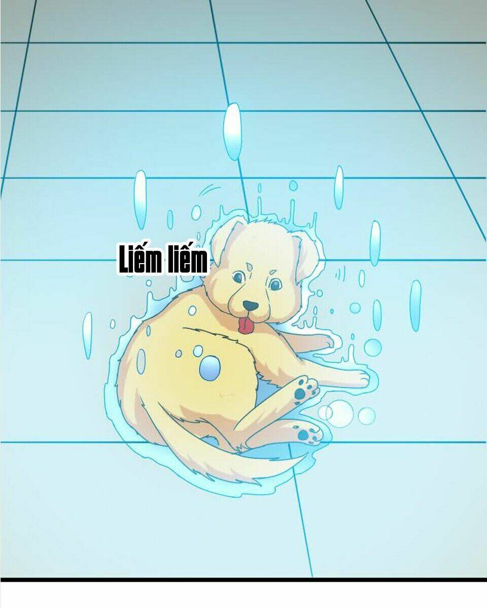 ngưu thư cung ứng thương chapter 15 5