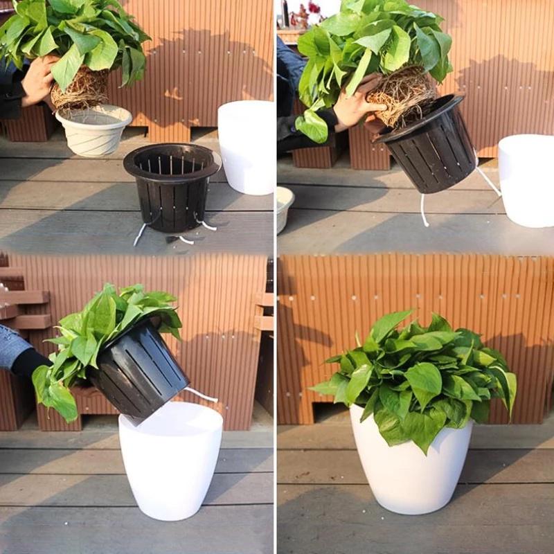 Chậu trồng cây tự tưới Oliz H0