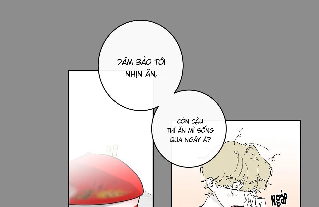 Hành Khúc Của Miro chapter 18