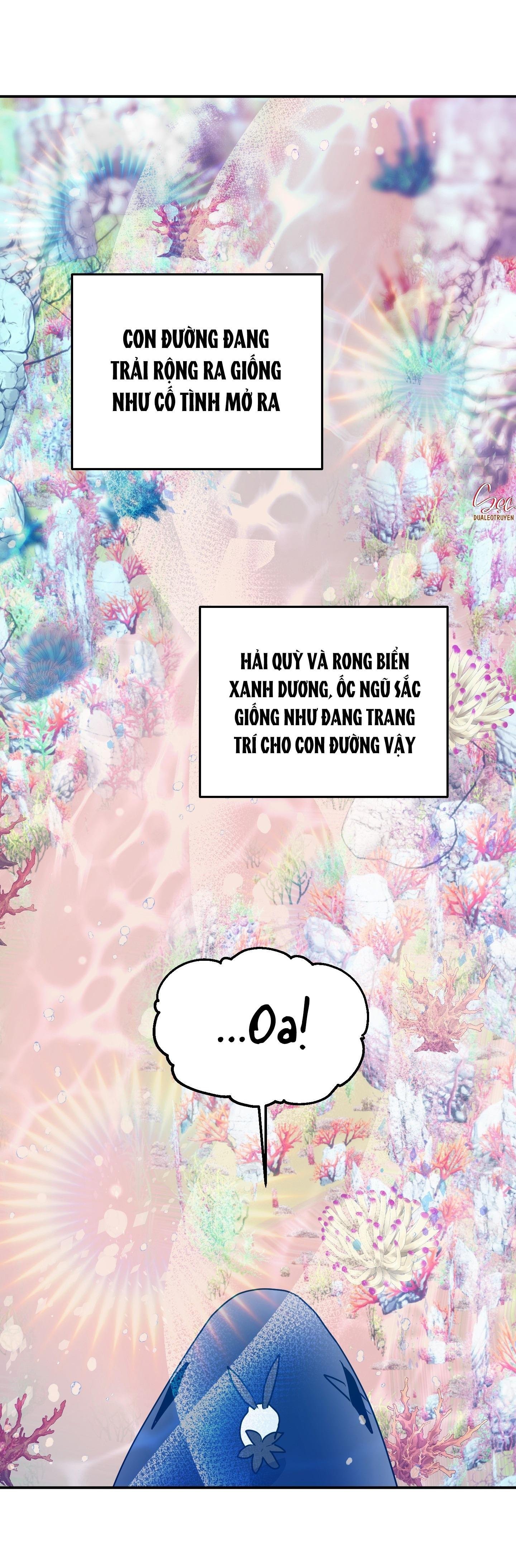 cá mập và cô dâu thỏ chapter 53 30