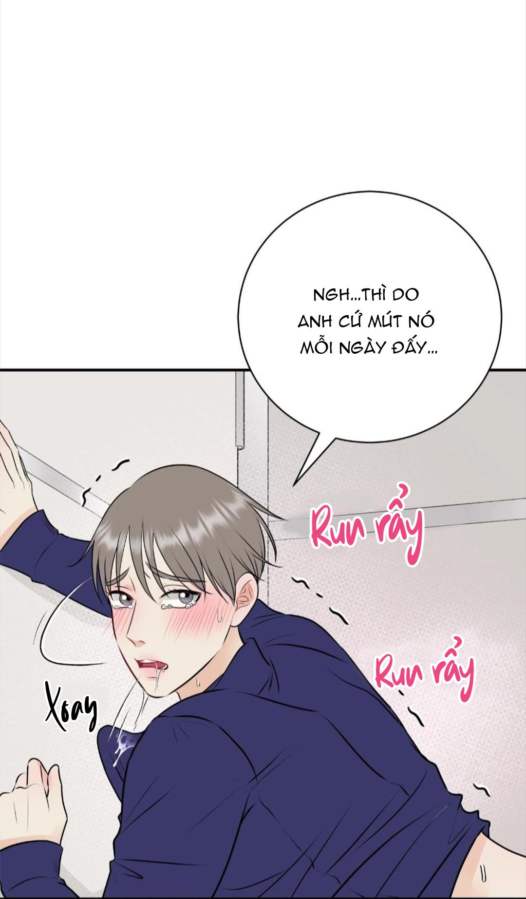 hạnh phúc trọn vẹn chapter 21 53