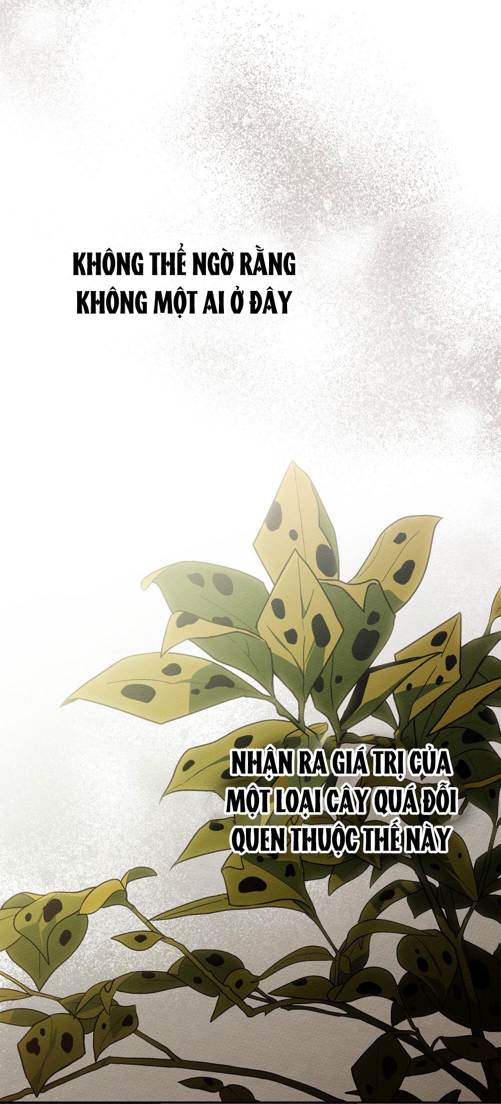 Dưới Bóng Cây Sồi chapter 117.1 15