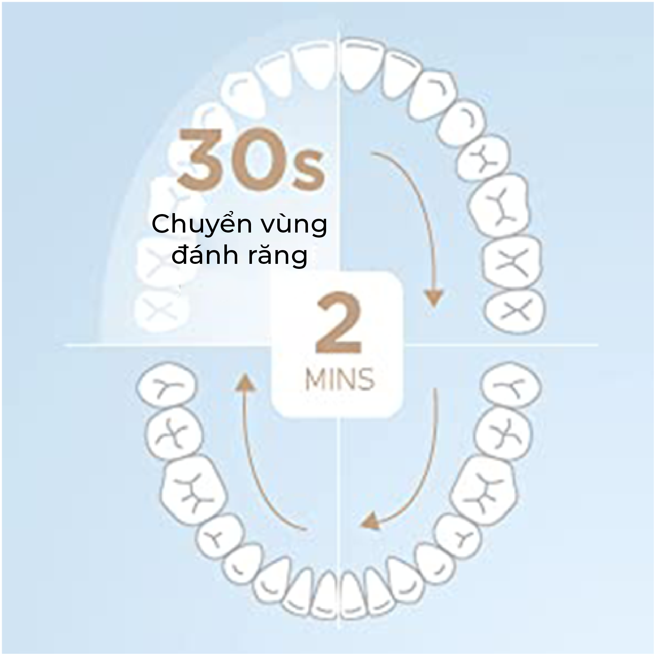 Bàn chải đánh răng Fairywill E11. Công nghệ Đức, tặng kèm 8 đầu bàn chải đủ dùng trong 2 năm
