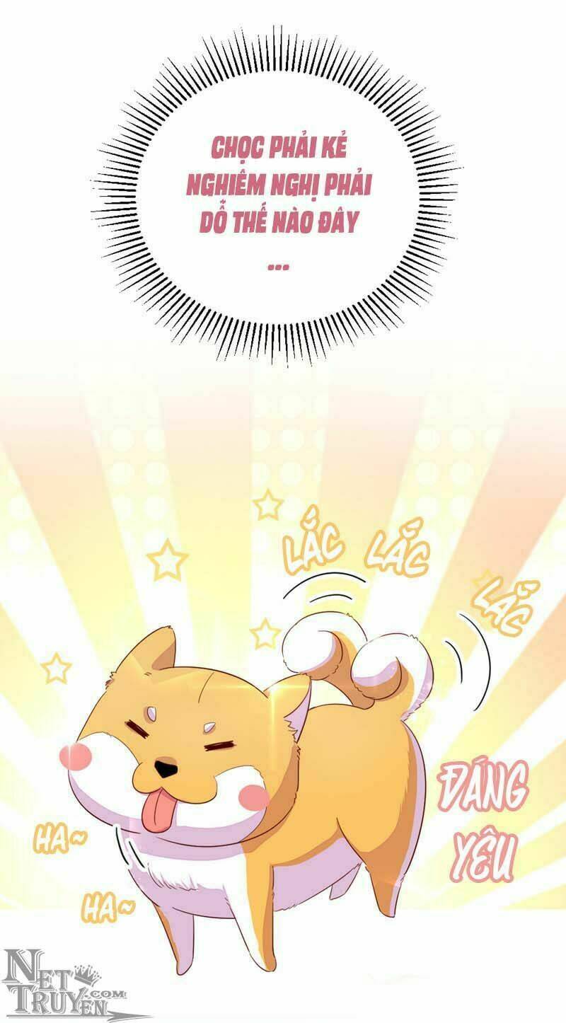 thiên thần gấu trúc muốn được ôm chapter 42 6