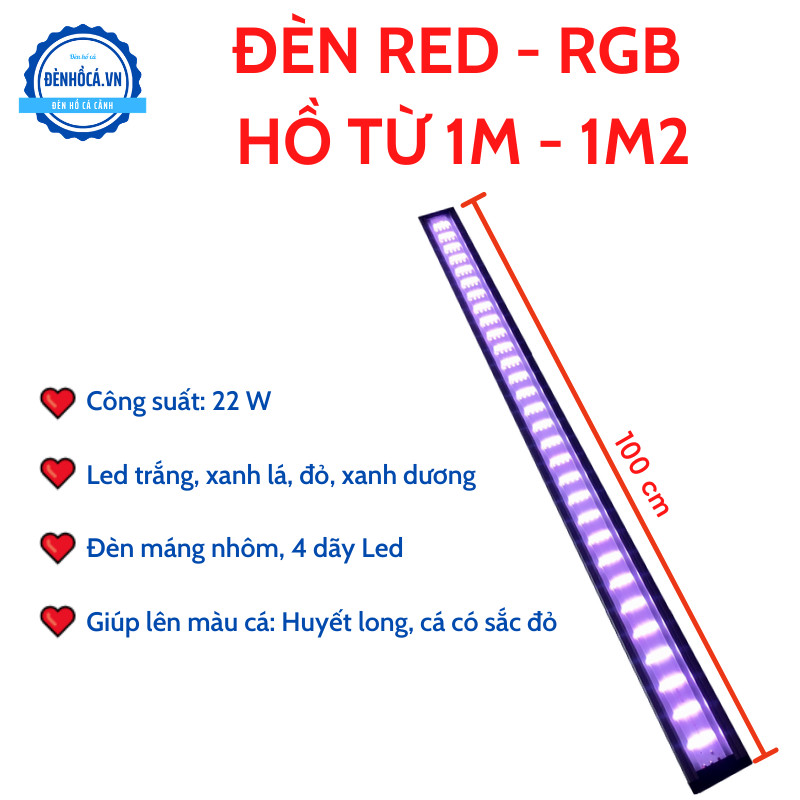 Đèn led màu màu cá Huyết Long dành cho hồ từ 1m đến 1m2
