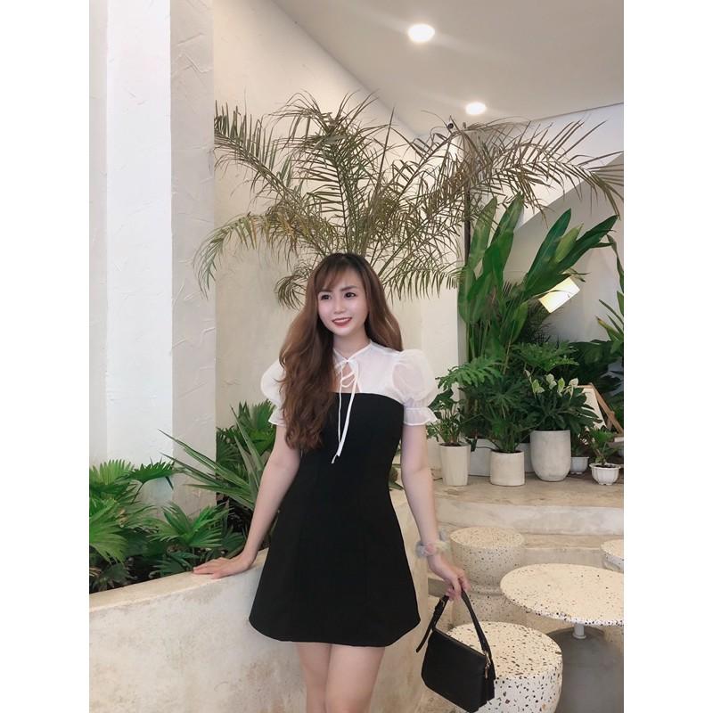 Đầm WONDER HOUSE phối trắng cổ tròn thắt nơ