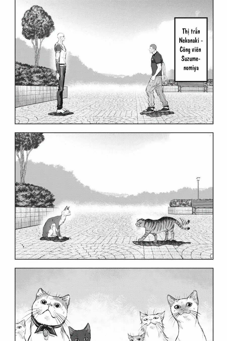 nyankees chapter 13 24