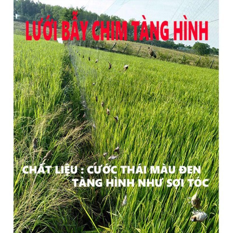 60 mét lưới bẫy chim ri , sắc ô , khuyên , sẻ ( lỗ 3 phân chiều cao 5m 5 dây 4 túi ) lưới cước thái màu đen tàng hình