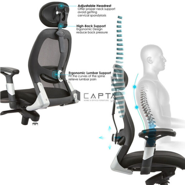 Ghế công thái học ergonomic lưng lưới bảo vệ cột sống Ghế văn phòng ngả lưng ngủ trưa cao cấp CM4524-M