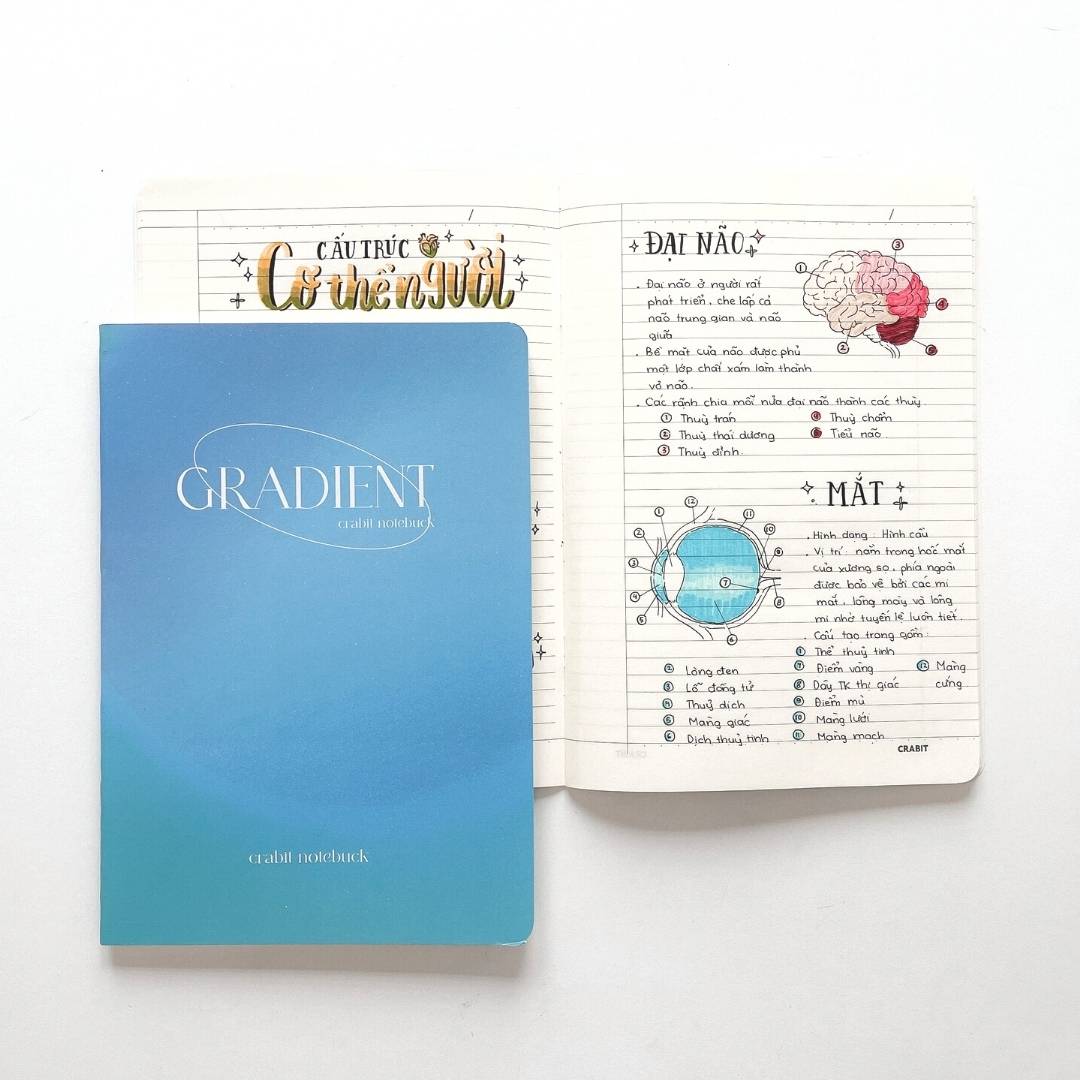Vở kẻ ngang 80 trang Gradient Crabit ghi chép mượt mà