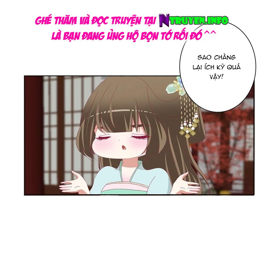 thông linh phi chapter 608 14
