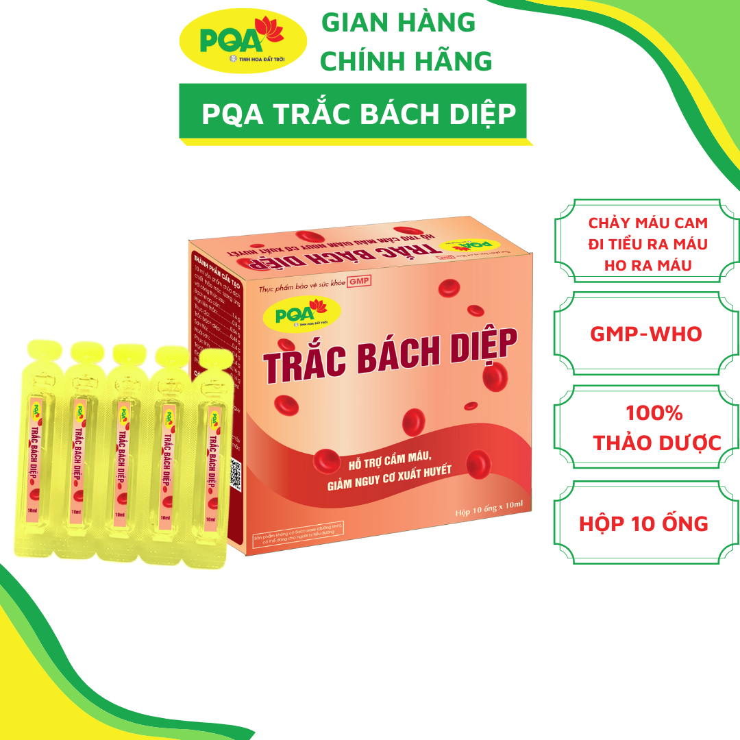 Trắc Bách Diệp PQA Hỗ Trợ Cầm Máu Dùng Cho Người Bị Chảy Máu Cam Hay Mắc Các Chứng Xuất Huyết Hộp 10 Ống