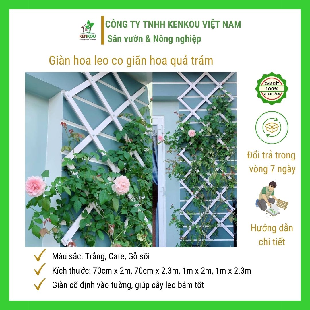 Giàn leo hoa quả trám co giãn đa năng nhựa composite