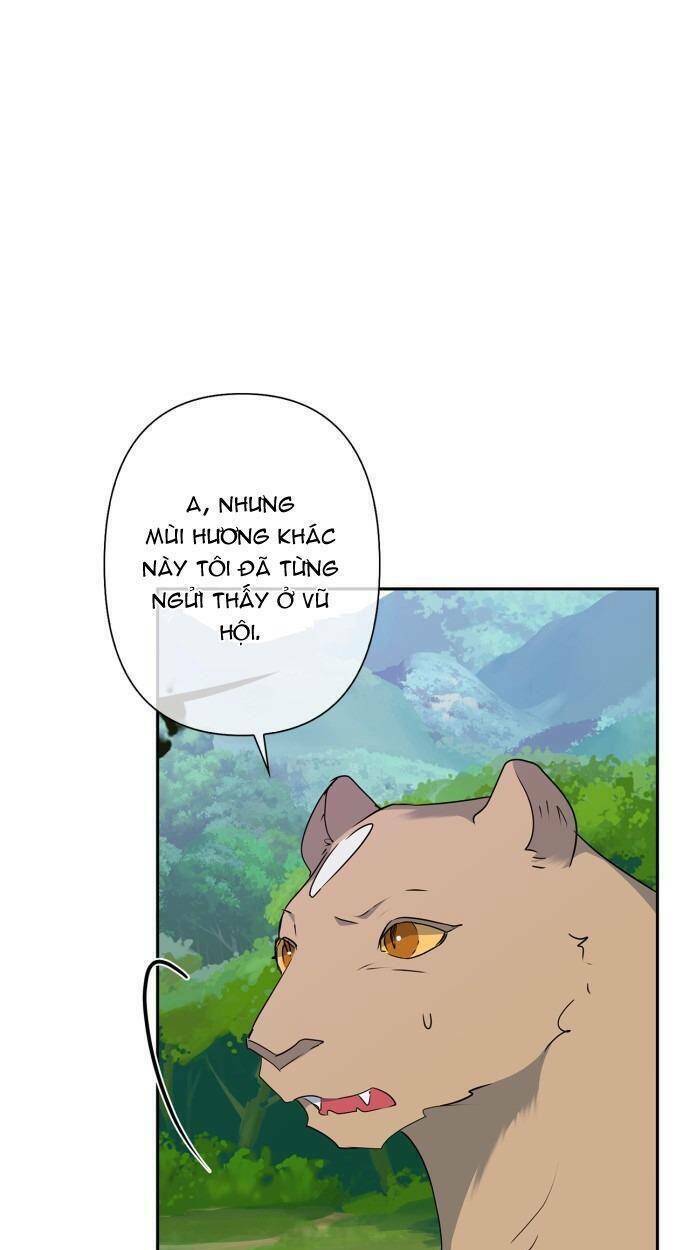 tôi đang nuôi dưỡng một con quái thú chapter 78 1