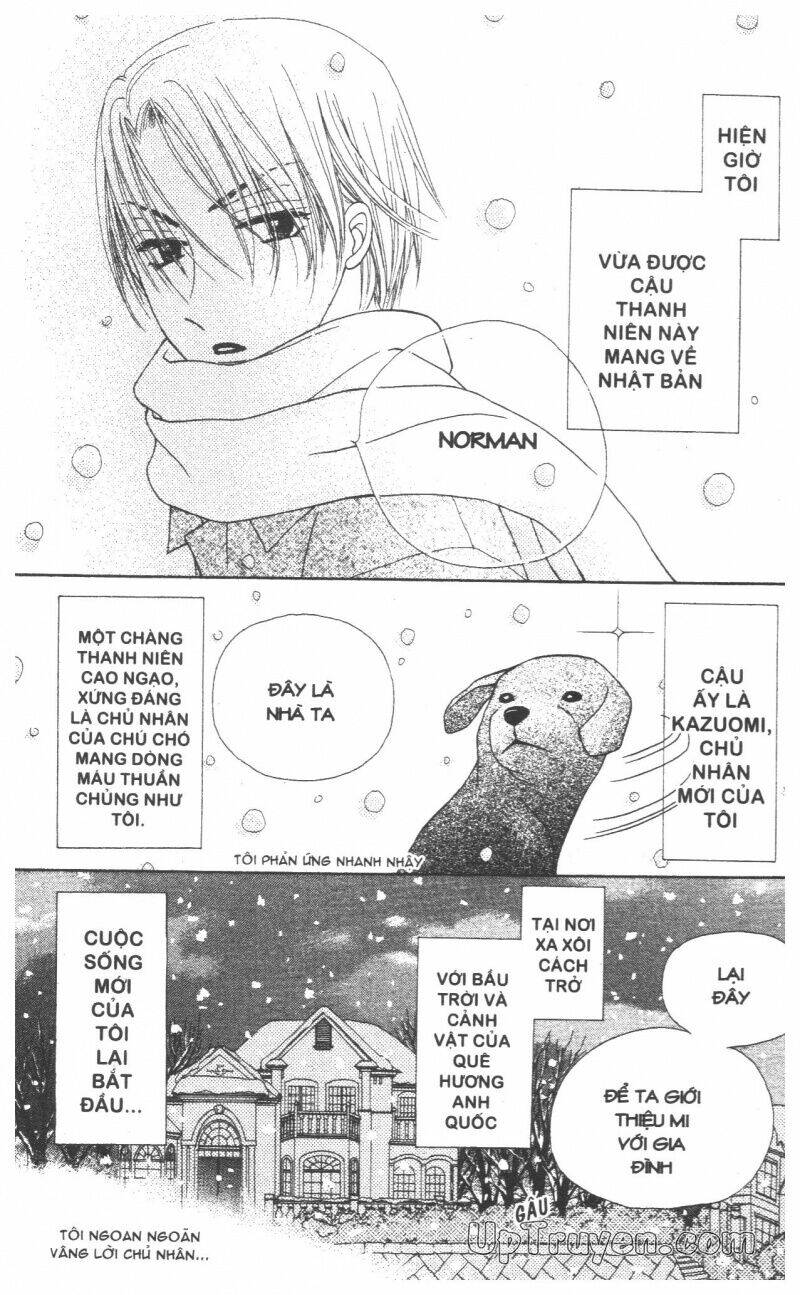 chân dung m&n chapter 5 99