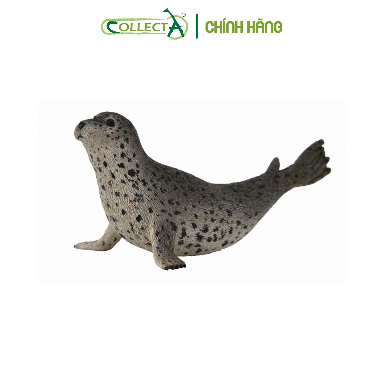 Mô hình thu nhỏ: Hải Cẩu Đốm - Spotted Seal, hiệu: CollectA, mã HS 9652130[88658] -  Chất liệu an toàn cho trẻ - Hàng chính hãng