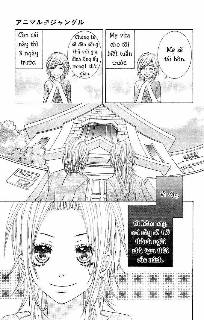 animal jungle chapter 1 11