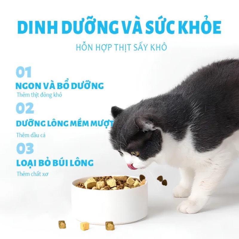 MR.VET CHO MÈO TỪ 1 THÁNG TUỔI 1KG