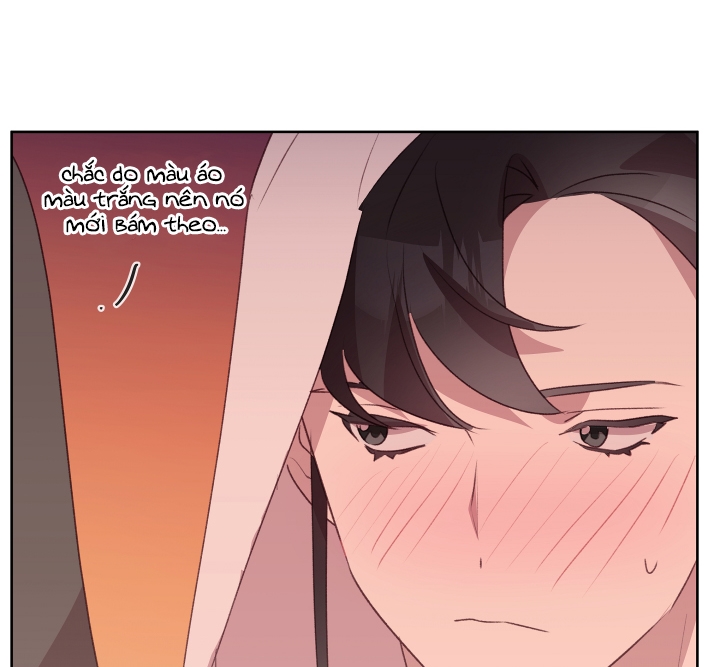 cuộc sống hai mặt của thần tượng chapter 21 6