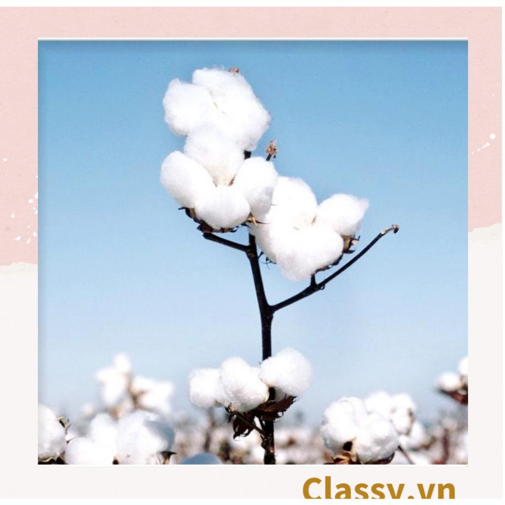 Khăn giấy nén Classy , mặt nạ nén chất liệu Cotton, bỏ túi du lịch tiện lợi THE MASK PK952