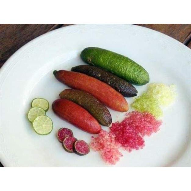 Chanh Ngón Tay cam kết chất lượng
