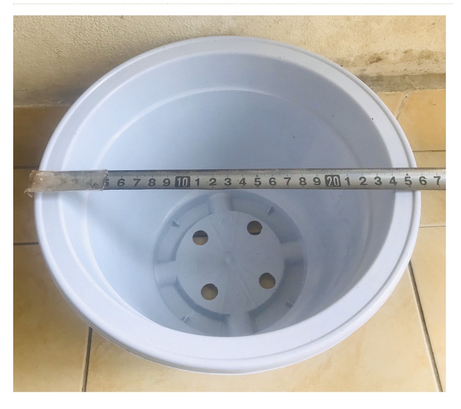 1 Chậu Nhựa Trồng Cây Hoa, Cây Cảnh A300x200