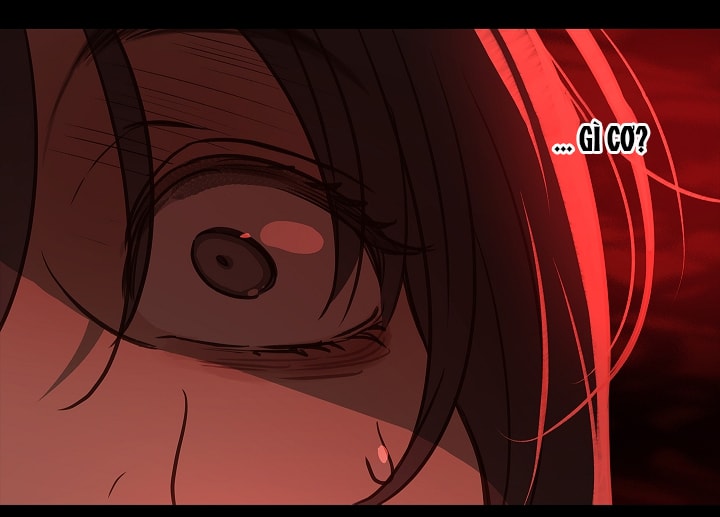 [18+] hoa là mồi nhử chapter 2 46