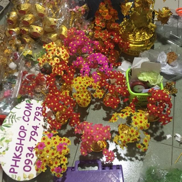 Combo nguyên liệu cây kim tiền tài lộc phk shop