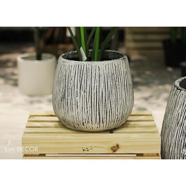 Chậu xi măng bầu khía trồng cây - CXM029