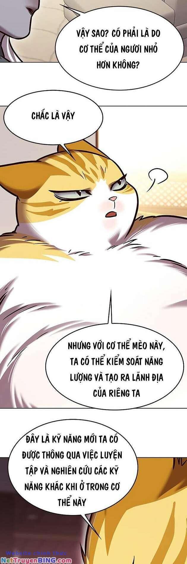 biến thân thành mèo chapter 278 58