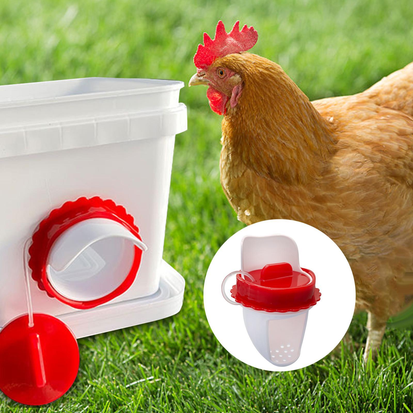 Poultry Feeders Weather Resistant Automatic Chicken Feeders for Boxes Tanks